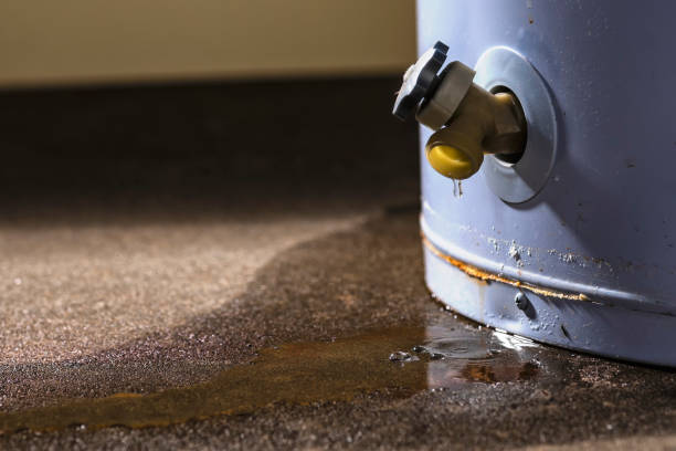 Best Mold removal after water damage  in Amite City, LA
