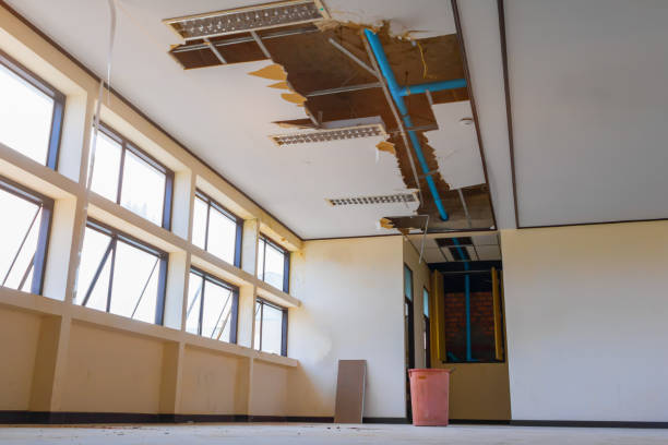  Amite City, LA Water damage restoration Pros