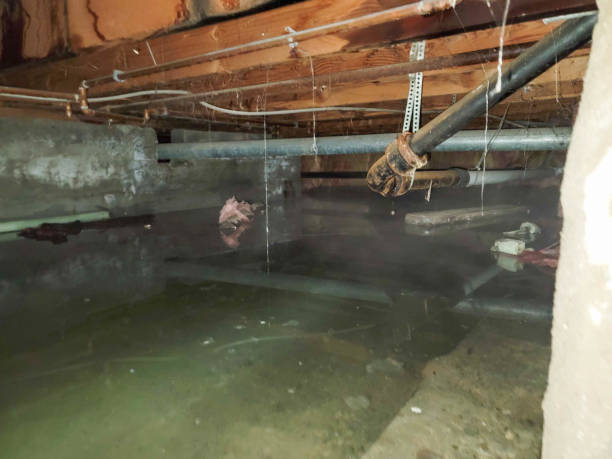 Best Residential water damage restoration  in Amite City, LA