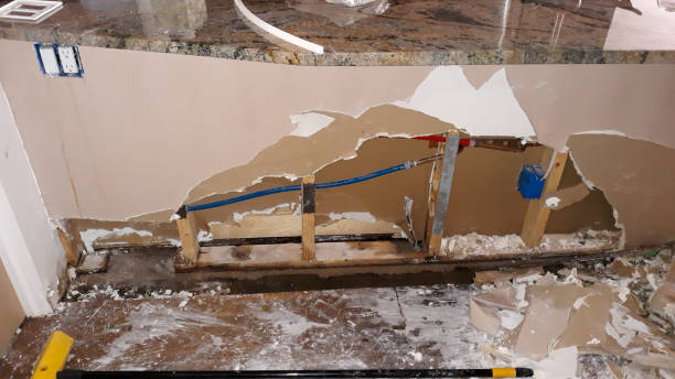 Best Carpet water damage restoration  in Amite City, LA
