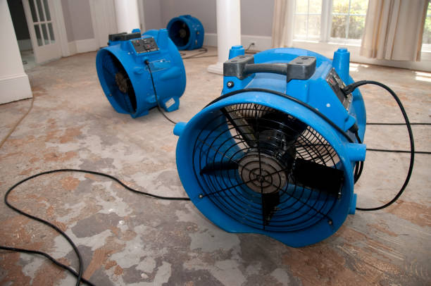Best Flooded house restoration  in Amite City, LA