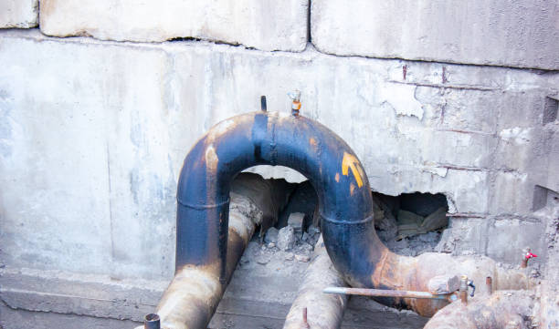 Best Water damage repair service  in Amite City, LA