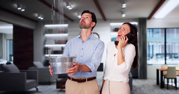 Best Flood restoration services  in Amite City, LA