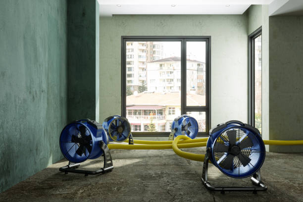 Best Water damage restoration near me  in Amite City, LA